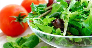 東莞虎門 現代農業配送體系的構建與農產品的標準化生產