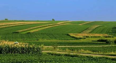 守好“米袋子”與“菜籃子” 糧食生產功能區和重要農產品生產保護區迎來定向扶持新機遇